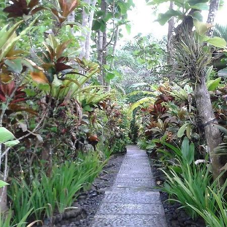 Pondok Pisces Bungalows Balian Beach Selemadeg (Bali) Exterior foto