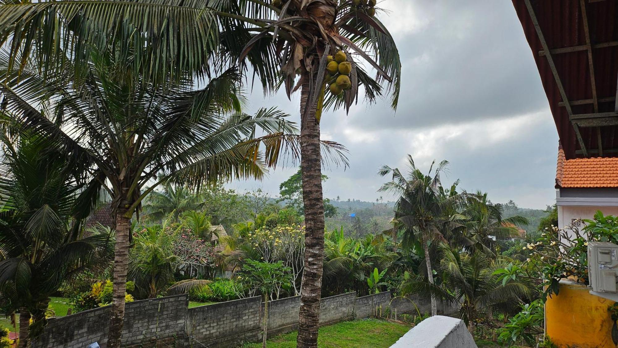 Pondok Pisces Bungalows Balian Beach Selemadeg (Bali) Quarto foto