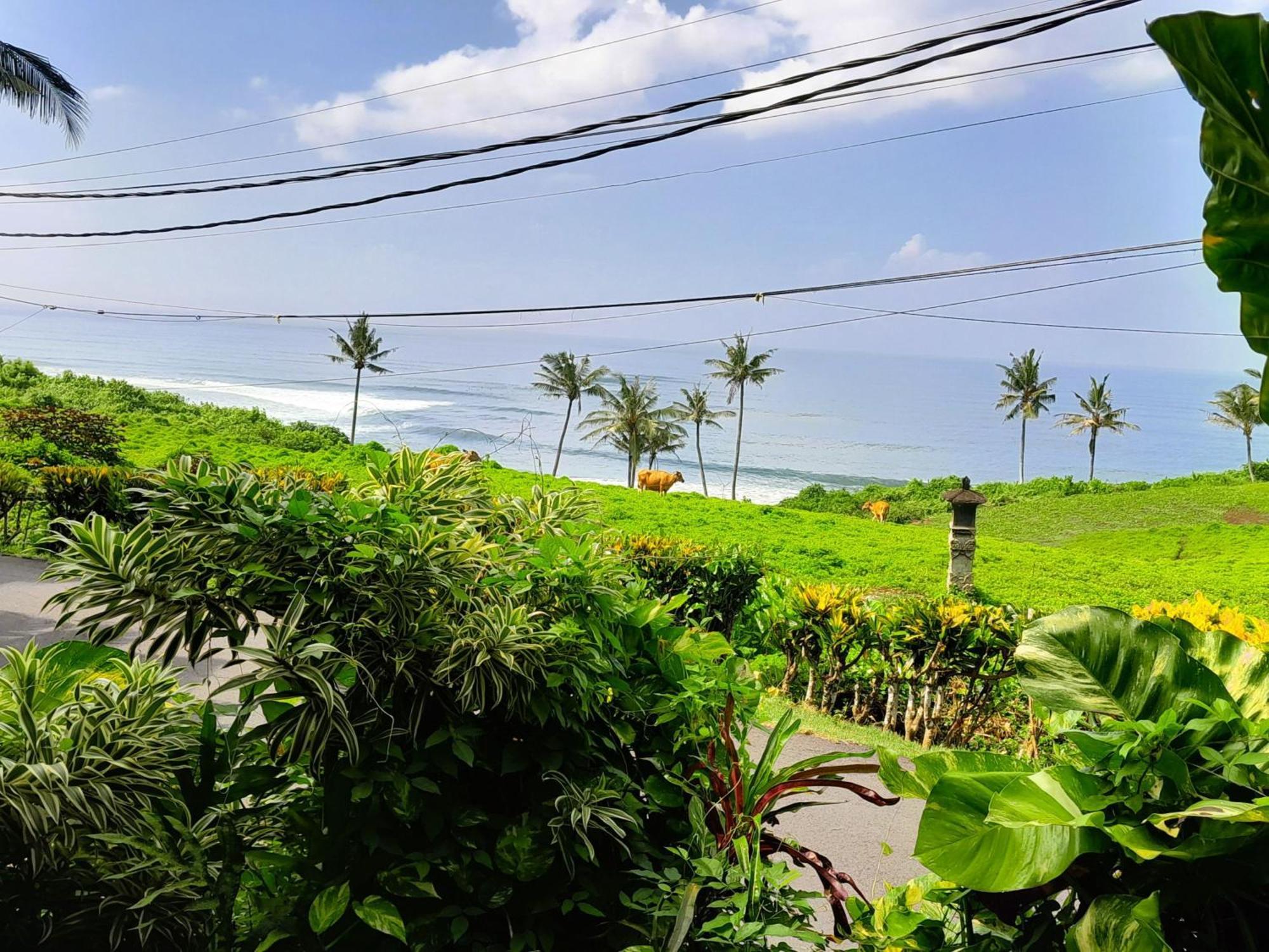 Pondok Pisces Bungalows Balian Beach Selemadeg (Bali) Exterior foto