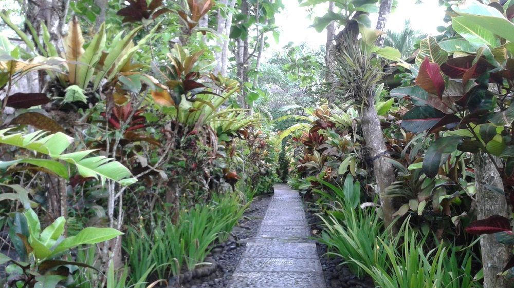 Pondok Pisces Bungalows Balian Beach Selemadeg (Bali) Exterior foto
